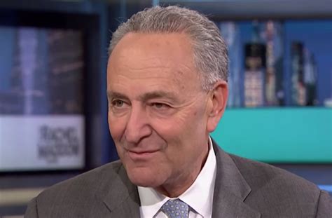The headlines do remind me about what little rights the accused harasser has when, as herman cain claims, a false complaint of harassment has been made. Chuck Schumer Files Criminal Complaint Over Fake Sexual ...