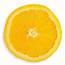 Free Photo Slice Of Orange  Yellow Skin Download Jooinn