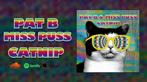 Pat B And Miss Puss Catnip Full Track Youtube