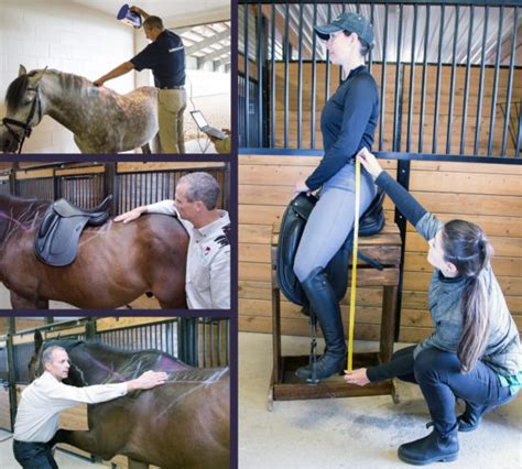 Saddle Fit Evaluations Schleese