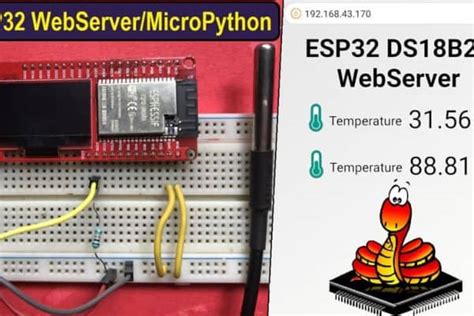 Micropython Ds18b20 Temperature Sensor With Esp32 And Images