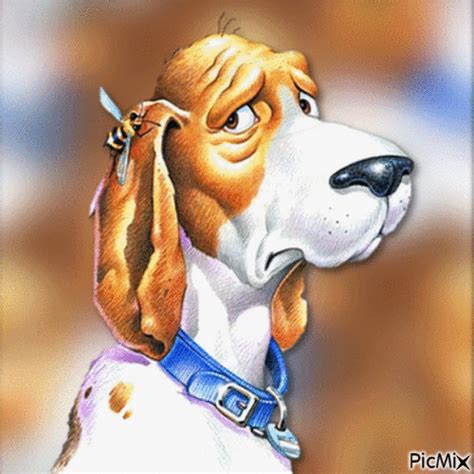 Funny Dog Free Animated  Picmix