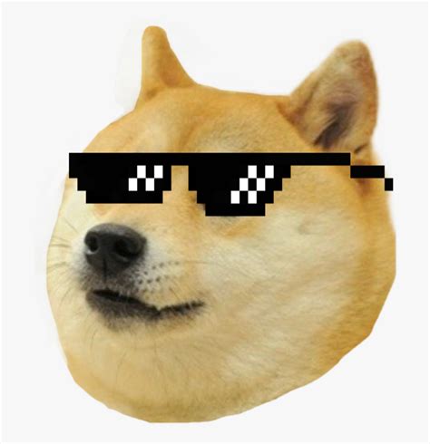Doge definition, the chief magistrate in the former republics of venice and genoa. Doge Meme Cartoon - apsgeyser