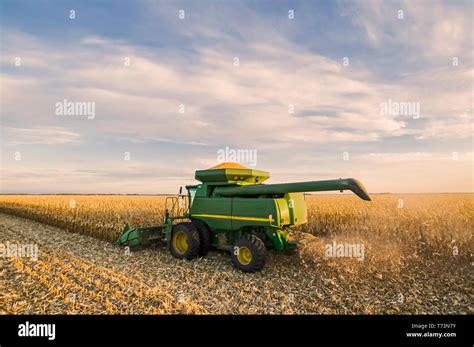 Combine Harvester In A Corn Field Hi Res Stock Photography And Images