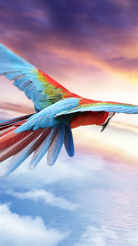 1080x1920 1080x1920 Macaw Parrot Birds Artist Artwork Digital