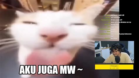 Kucing Aku Juga Mw 😋 Youtube