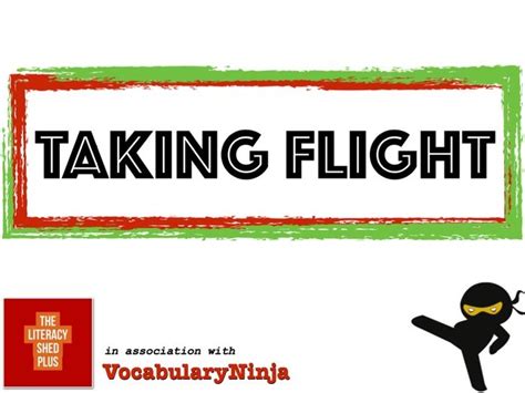 Taking Flight Vocabulary Pack Teaching Resources