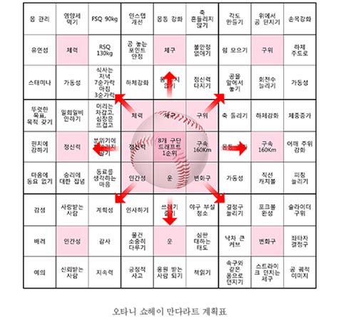 시험 계획표 짜는 방법 교대생이 알려주는 내신 시험 계획표 짜는 법! 공부의 신