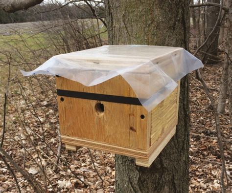 Putting Bumble Bees In A Box Might Help Scientists Study Their Nesting