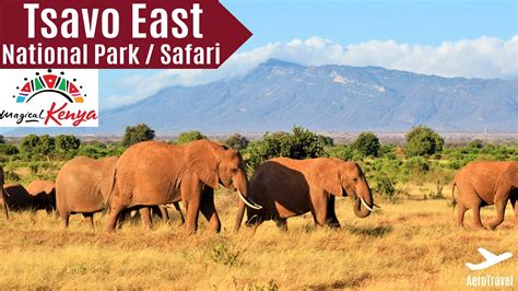 Tsavo East National Park Safari Big 5 Ultra Hd Game Drive
