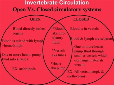 Open Vs Closed Circulatory System Biology Pdfshare