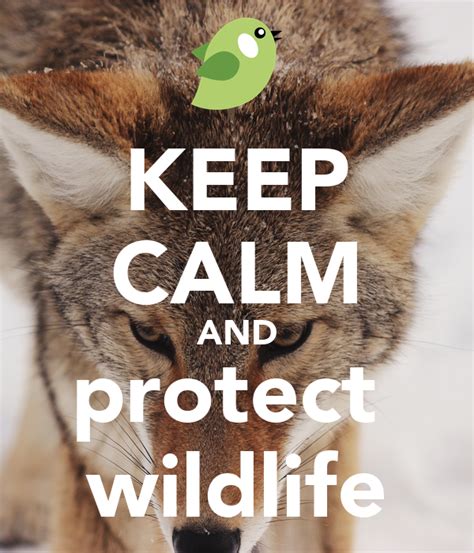 Keep Calm And Protect Wildlife Keep Calm And Carry On Image Generator