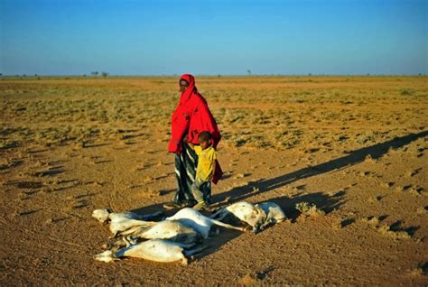 Al Menos 110 Fallecidos En 48 Horas En Somalia A Causa De La Sequía