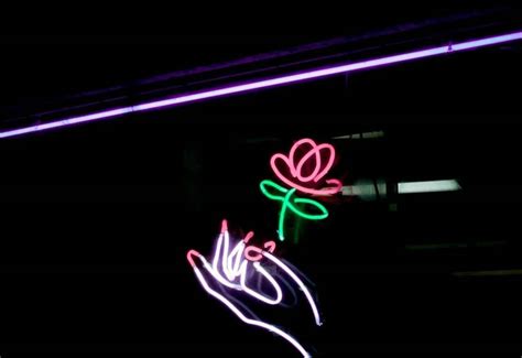 Download Neon Rose Light Wallpaper