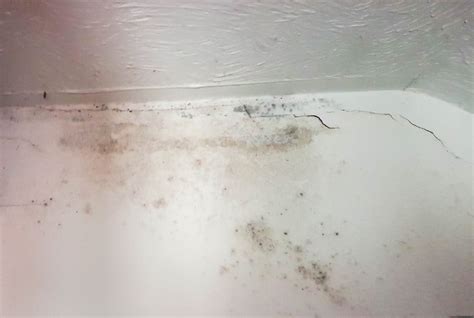 What Causes Damp In Houses Local Surveyors Direct