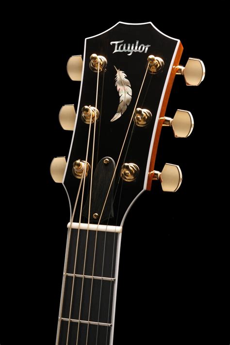 Feather Headstock Inlay Taylor Guitars Taylor Guitars Guitar Inlay