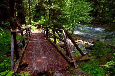 Quartz Creek Hike Hiking In Portland Oregon And Washington