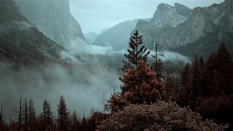 Download Wallpaper 1920x1080 Mountains Trees Spruce Fog Nature Full