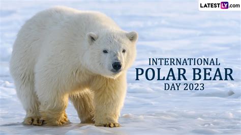 Festivals And Events News When Is International Polar Bear Day 2023