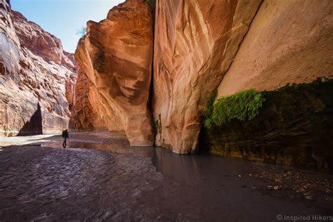 Buckskin Gulch And Paria Canyon Inspired Hikers