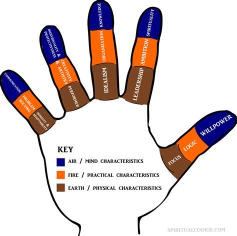 Palmistry Reading Finger Signs And Meaning Of Parts Of Fingers