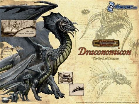 Black Dragon Black Dragon Dungeons And Dragons Dragon Art