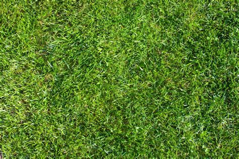 Grass Field Top View Texture — Stock Photo © Wujekspeed 14609331