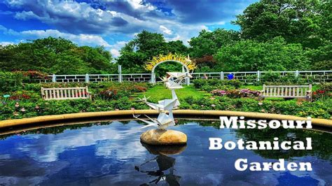 Missouri Botanical Gardens A Serene Oasis In St Louis