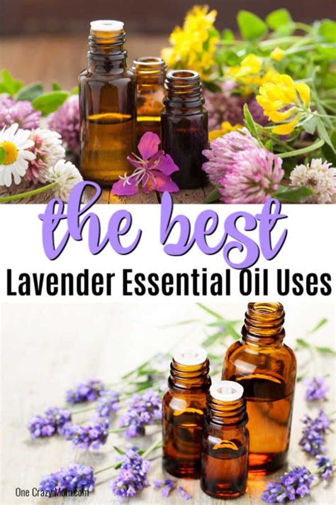 Lavender Essential Oil Uses 25 Lavender Oil Uses You Need To Know
