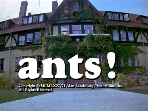 Happyotter: ANTS! (1977)