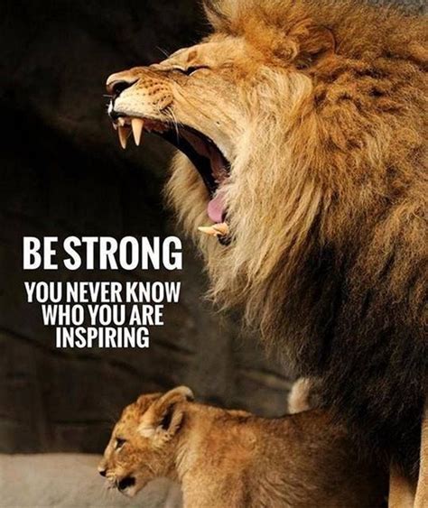 677 Motivational And Inspirational Quotes Lion Quotes Warrior Quotes