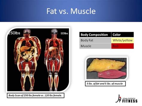 1000 Images About Fat Vs Muscle On Pinterest Fitness