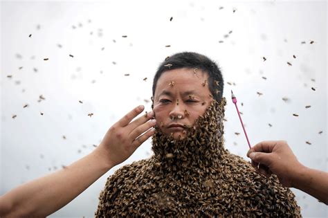 Man Covered Self In Half A Million Bees For Wacky World Record Attempt Information Nigeria