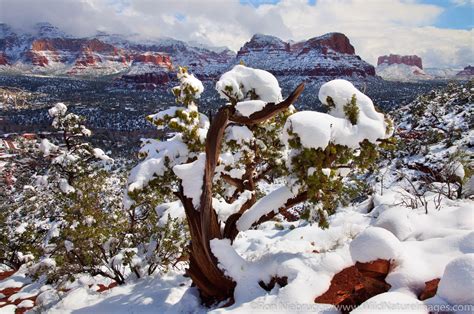 Winter Sedona Arizona Photos By Ron Niebrugge