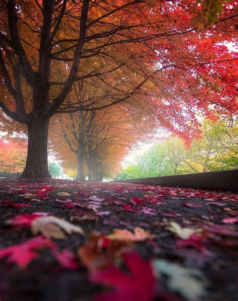 Pin By Crystal Stacey On Autumn Autumn Photography Best Shots