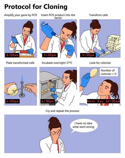 Science Jokes Science Humor Biology Humor Teacher Humor Teacher Memes