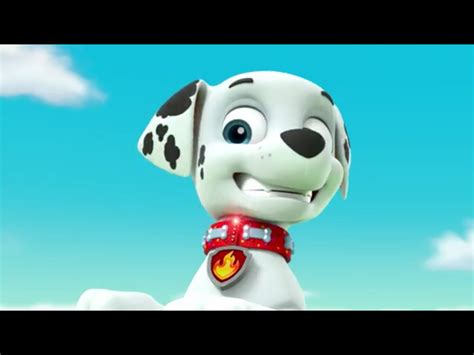 Image Marshall And His Lucky Collarpng Paw Patrol Wiki Fandom