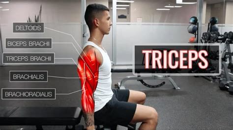 Triceps Workouts At Home 10 Great Ways To Build Stronger And More
