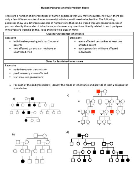 Solved Human Pedigree Analysis Problem Sheet There Are A Chegg Com