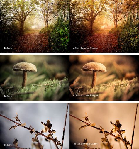 This is the easiest way to use lightroom free presets designed by professional photographers. Autumn Glow - Lightroom Presets 031 | Lightroom presets ...