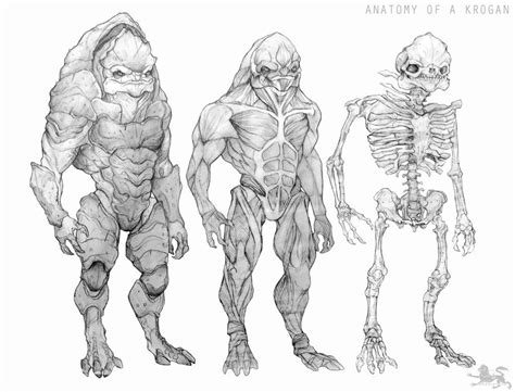 Anatomy Of A Krogan Clean Version By Lupodirosso Alien Character