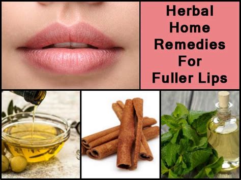 Herbal Home Remedies For Fuller Lips