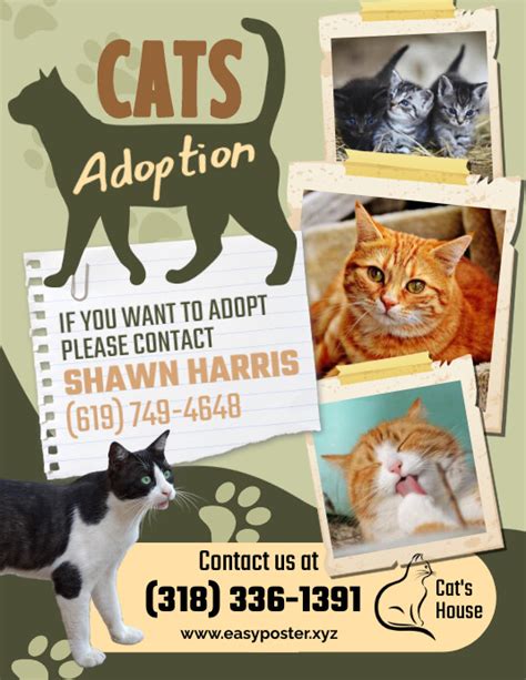 Cat Adoption Flyer Template Postermywall