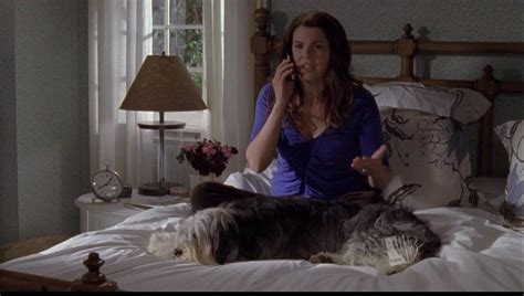 Gilmore Girls Lorelai And Paul Anka Famous Pets In Tv And Film