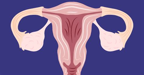Ovary Transplants Health Benefits Longer Life