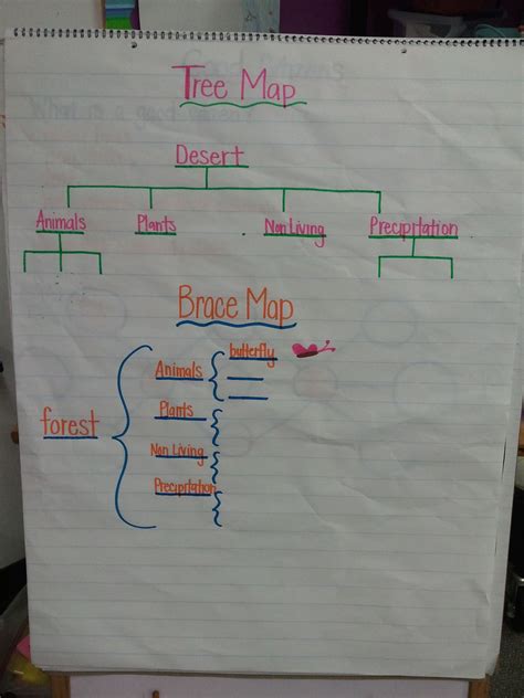 An Anchor Chart To Model Different Thinking Maps On Ecosystems