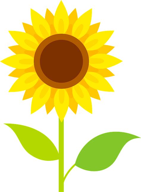 Sunflower Clipart Free Download Transparent Png Creazilla