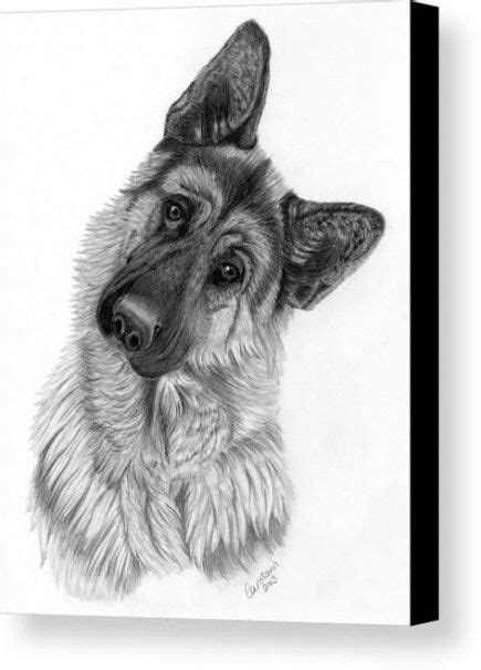 68 Trendy Dogs German Shepherd Drawing Dog Drawing Dog Art German