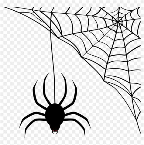 Spider Web Vector Free Download At Collection Of