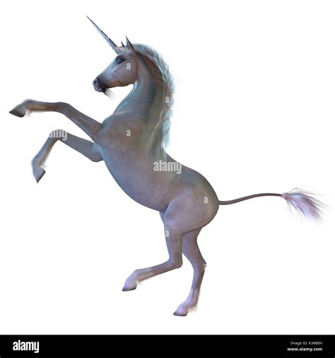 A Unicorn Is A White Magical Horse With Cloven Hoofs A Forehead Horn